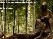 Vida vivir manera…