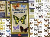 DISPONIBLE: Mariposas diurnas. Introducción especies ibéricas