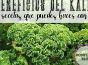 Beneficios Kale Recetas Puedes Hacer