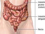 Internacional contra Cáncer Colon