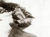 Segunda Guerra Mundial año: 1943