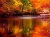 veces pregunto, tontos...