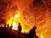 Fuego contra fuego: políticos también destruyen bosques España