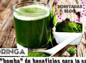 Moringa, Bomba Beneficios Para Salud