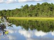 ecología Suecia tiene trucos: quien contamina paga