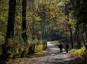 Aquellos paseos otoño