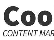 Coobis Marketing Post patrocionados paga