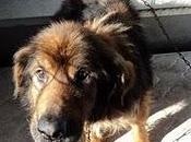 Rescatado Luarca. palabras sólo maldiciones