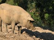 Huelva para comérsela