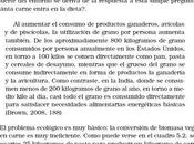 pecados carne