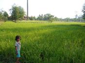 Ruta Camboya