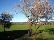 está aquí primavera