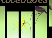 wish, wish... Novedades abril