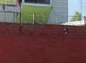 Gitanos abandonan mascota