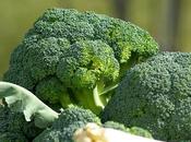brócoli hortaliza mayor aporte nutricional p...