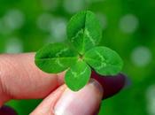 puedes trébol cuatro hojas