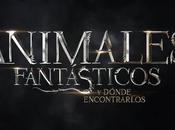 Noticias: Nuevo tráiler español Animales fantásticos dónde encontrarlos