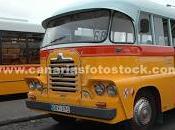 Transportes autobús