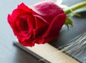 Libros para regalar este Sant Jordi (Día Libro 2016)