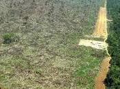 Denuncia/queja enviada guardia civil quieren tramitar