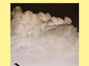 lugar proceder”, Claudio Magris