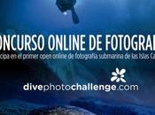 Concurso Fotografía submarina Islas Canarias