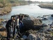 Jornada inspección ríos