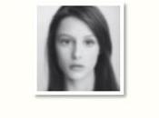 "Pureza", Jonathan Franzen: todo descubrimiento