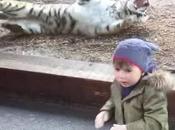 Nunca despiertes tigre