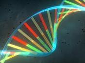 Virginidad esta Determinada Geneticamente