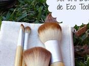 iHerb. opinión sobre Ecotools III: brochas rostro (polvos, colorete corrector)