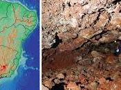 Primer caso ácaros parasitando colémbolos cueva