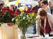 Sant Jordi, Shakespeare, Cervantes libros