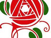 Sant Jordi comprar solo libro