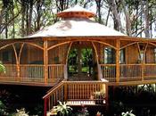 Ventajas bambú para construir casas.