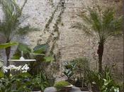 Terrazas invierno. estilo frances clasico