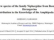 Nueva especie anfípodo subterráneo Bosnia Herzegovina