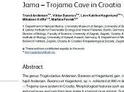 Descubierto díptero troglobio Croacia