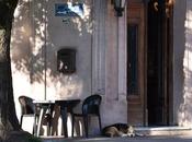 pagos Areco