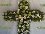 Situación Cruces Mayo 2016 Almadén: abril mayo