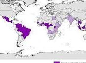 virus Zika: trotamundos global