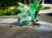 Cuidados jardín hasta guerra