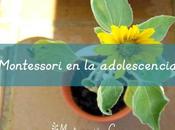 Montessori adolescencia adolescence