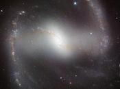 Galaxia espiral barrada 1365