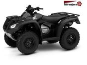 Honda rincon 2017