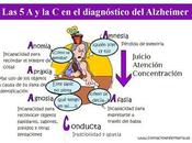 diagnóstico Alzheimer