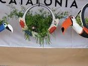 Anuncian Cuarto Concurso Reciclaje Romana