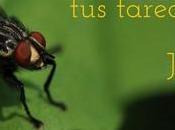 Papeleo pendientes hora “Just