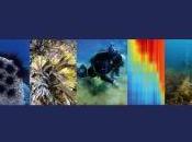 Cambio Climático Medio Marino Español: Impactos, Vulnerabilidad Adaptación