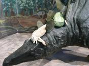 Paleozoic Pals